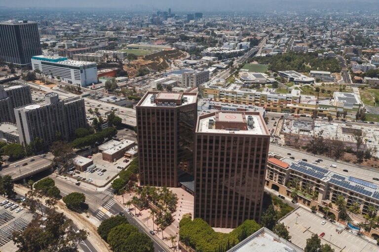 business growth data overview