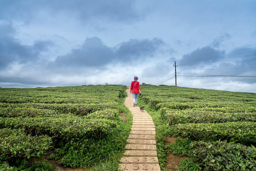 emerging horizons data analysis